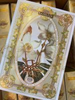 Mini Love Story III Metal Book - 5x2g - Bilde 2